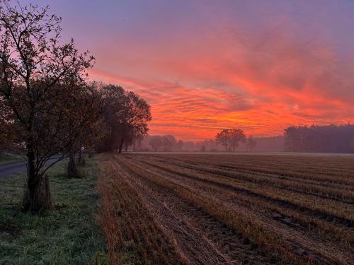 a field with a tree and a sunset at Wunderschöne Ferienwohnung mit Balkon auf dem Bauernhof in Greven