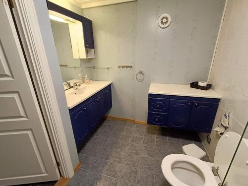 a bathroom with a blue sink and a toilet at Seaside Fisherman s Haven-By Traum in Steinsbø