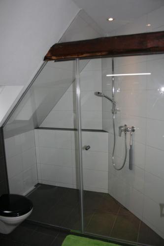 a bathroom with a glass shower with a toilet at Ferienwohnung am Kurpark in Bad Nenndorf