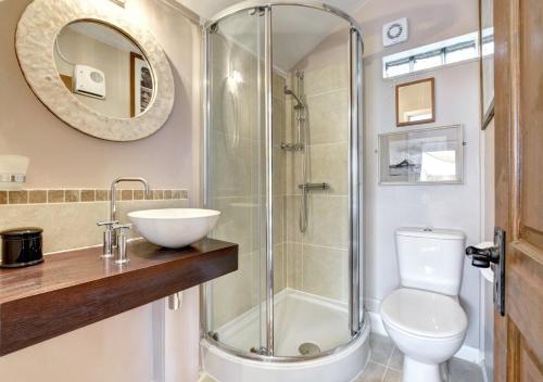 a bathroom with a shower and a toilet and a sink at Dart View Cabin in Totnes