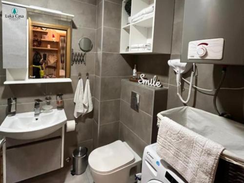 een kleine badkamer met een toilet en een wastafel bij Apartman Luka Casa in Zlatibor