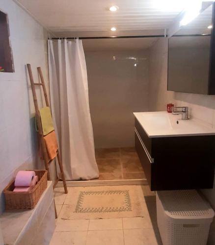 a bathroom with a sink and a shower at Le gîte du pavé in Saint-Paul