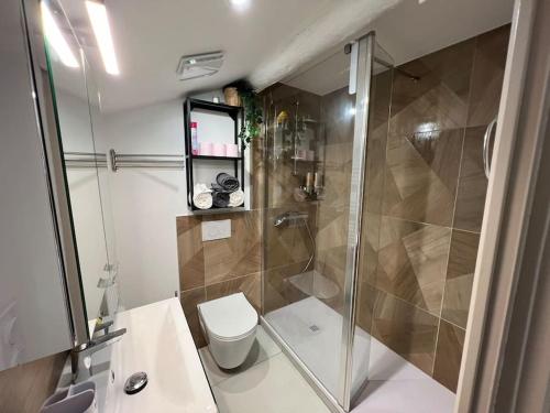 une petite salle de bain avec douche et toilettes dans l'établissement Villefranche • Riottier T3 • La Gare, à Villefranche-sur-Saône