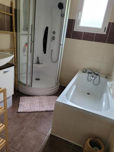 ein Bad mit einer Dusche und einem weißen Waschbecken in der Unterkunft Années 80, enquête et jeux hors du temps in Saint-Romain-le-Preux