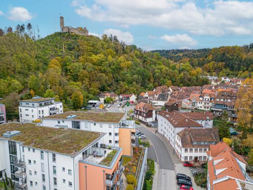 Blick auf eine Stadt mit einem Schloss auf einem Hügel in der Unterkunft Traumhaft gelegene Altbau-Wohnung im Herzen von Weinheim in Weinheim