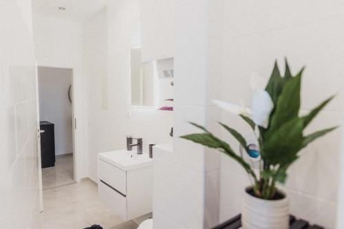 a bathroom with a sink and a potted plant at Ferienwohnung Zentrum Erding in Erding