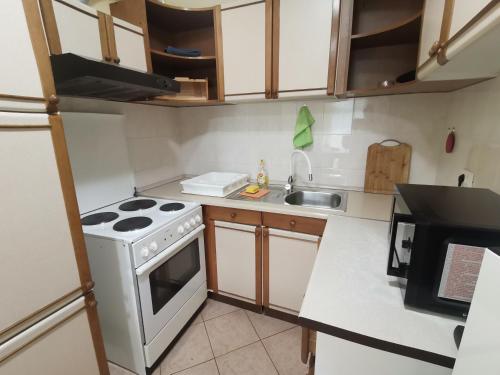 Kuchyň nebo kuchyňský kout v ubytování Apartment Lučić