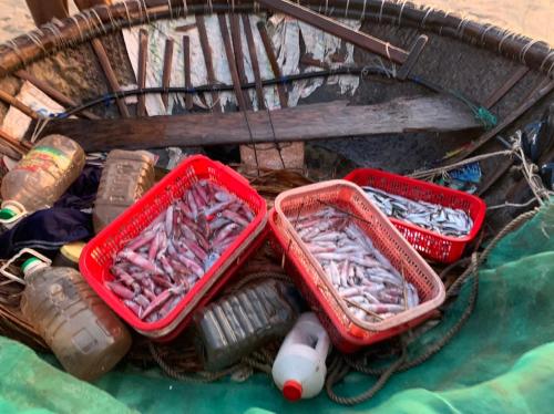 two baskets of fish are sitting in a basket at Santa Sea Villa in Hoi An