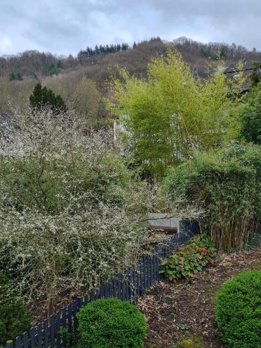 a garden with a blue fence and bushes at Ferienhaus Am Reilsbach in Cochem
