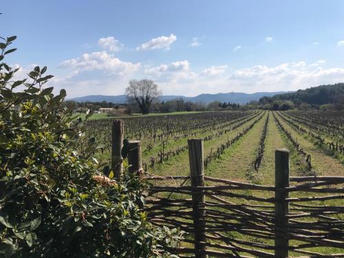 a vineyard with a wooden fence in a field at Château Saint-Pierre de Mejans in Puyvert
