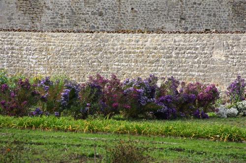 a bunch of purple flowers in front of a brick wall at Château des Monthairons Hôtel Restaurant GastroMaison Spa privatif in Les Monthairons