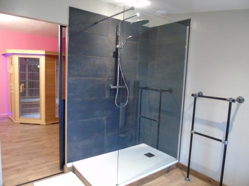 uma casa de banho com um chuveiro e uma parede de vidro em love room La gondole du plaisir em Saint-Pierre-dʼAmilly