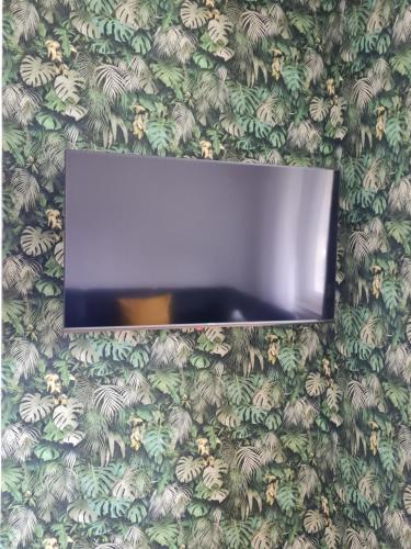 a mirror on a wall with a green and white wallpaper at Ferienhaus Am Reilsbach in Cochem