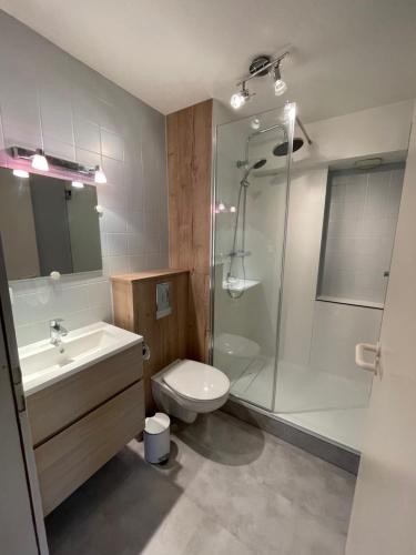 une salle de bain avec une douche, des toilettes et un lavabo dans l'établissement Tripiers Anis, à Colmar