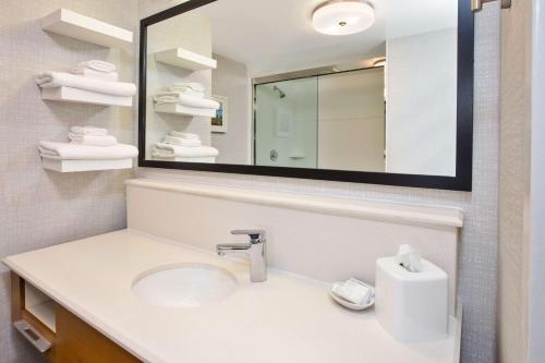 La salle de bains est pourvue d'un lavabo et d'un miroir. dans l'établissement Hampton Inn Daytona/Ormond Beach, à Ormond Beach