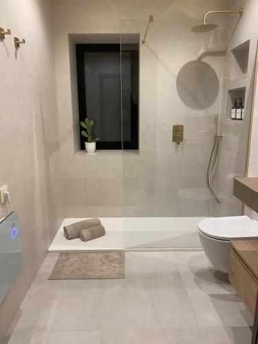 a bathroom with a shower and a toilet and a sink at Emuna House A Coruña in A Coruña