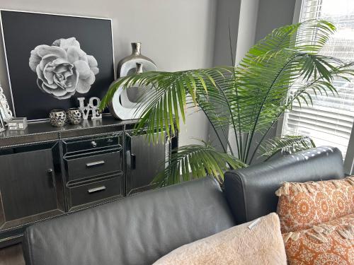 uma sala de estar com um sofá e uma planta em Jahsavvy's Nest em Hamilton