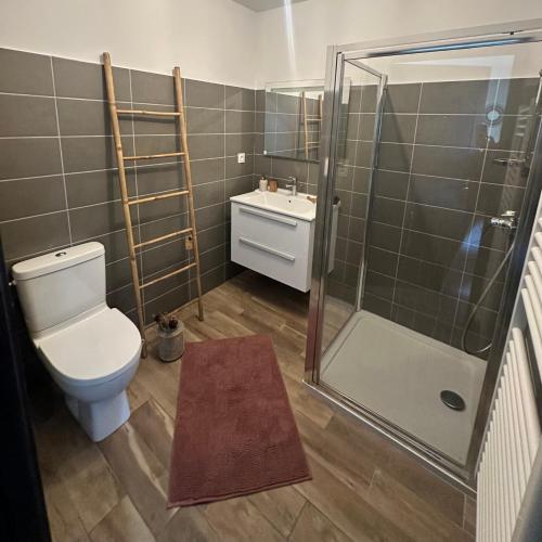 une salle de bain avec une douche, des toilettes et un lavabo dans l'établissement Vue panoramique Mer montagne Bastia, à Bastia