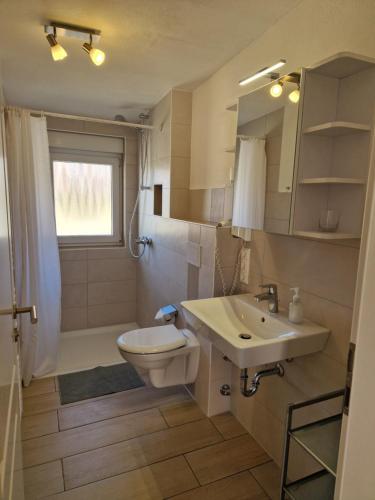 a bathroom with a toilet and a sink at Appartement Kaminzauber in Boltenhagen