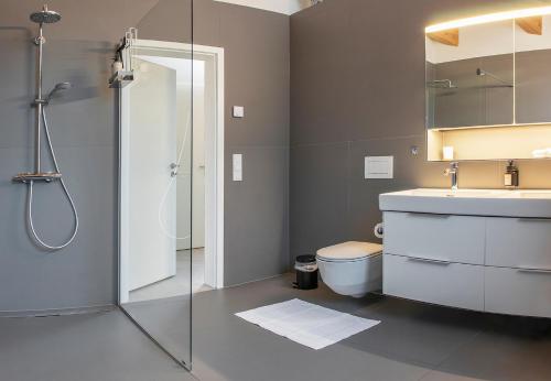 a bathroom with a shower and a sink and a toilet at ※Luxus Loft mit Boxspringbetten und Heimkino ※ in Inzlingen
