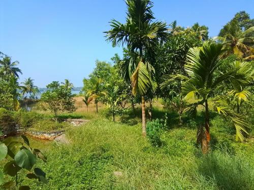 Fotografie z fotogalerie ubytování JC Island Resort munroe v destinaci Kollam