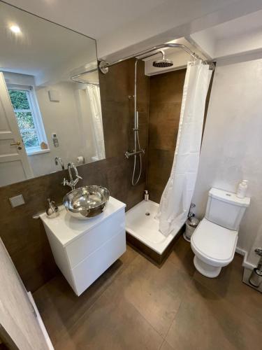 a bathroom with a toilet and a sink and a shower at Ferienhaus unter Reet im Heidedorf Sankt Dionys bei Lüneburg in Sankt Dionys