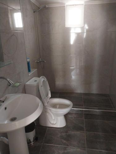 a bathroom with a white toilet and a sink at Ledion Apartment in Gjirokastër