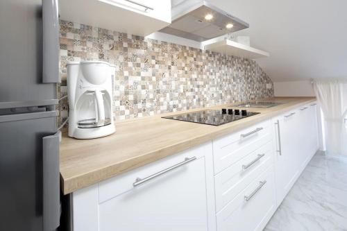 Centrally located apartman Seagull