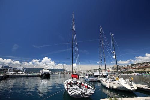 Centrally located apartman Seagull