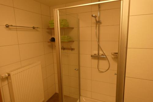 La salle de bains est pourvue d'une douche avec une porte en verre. dans l'établissement Paris, à Schwandorf in Bayern