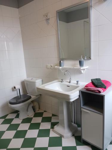 y baño con lavabo, aseo y espejo. en Tours - Rochebonne (chambre à louer), en Tours