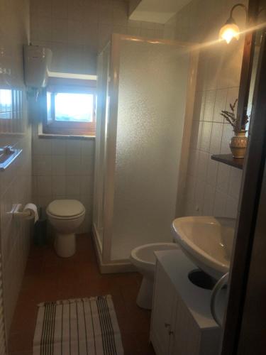 ein Bad mit einem WC und einem Waschbecken in der Unterkunft Casale Pian di Fratta in Fabro