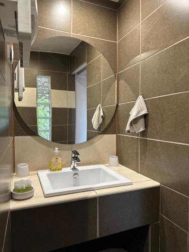 uma casa de banho com um lavatório e um espelho em La Chambre de l'Olivier em Champigny-sur-Marne