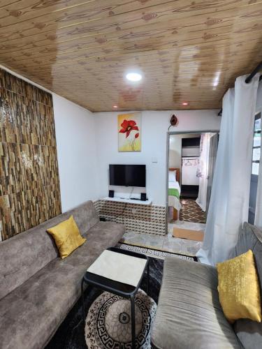 sala de estar con sofá y TV en Tiny 1 Bedroom with wifi and secure parking, en Kisumu