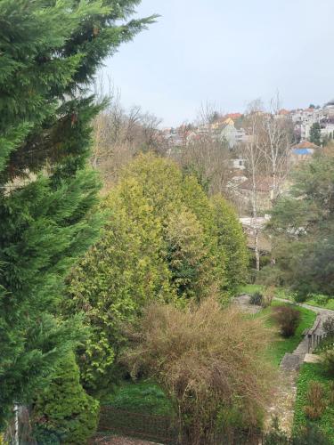 a garden with trees and bushes in a park at Villa Vino & Grad in Zagreb