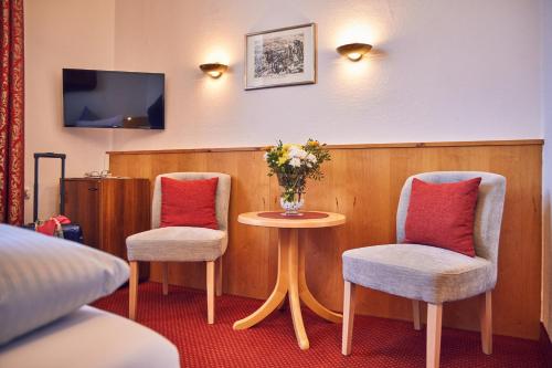 TV a/nebo společenská místnost v ubytování Hotel Aschenbrenner