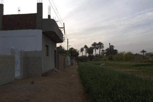 a dirt road next to a building with palm trees at Mogran Guest House in Luxor