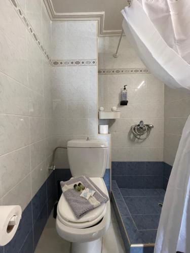 ein kleines Bad mit einem WC und einer Dusche in der Unterkunft Regina Hotel in Nafpaktos