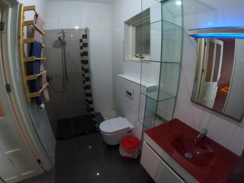 a bathroom with a shower and a toilet and a sink at Moreira Estates in Vila do Maio