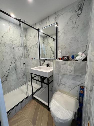a bathroom with a sink and a shower at Pavillon sur cour . in Paris
