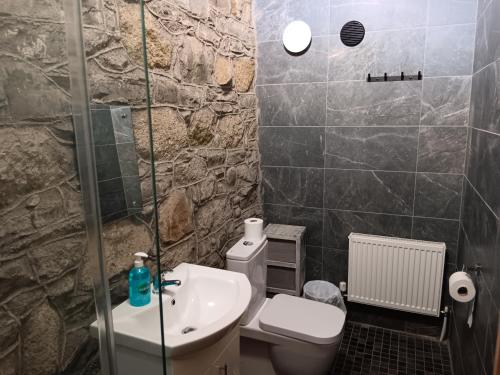 a bathroom with a toilet and a sink at Matty's Pub - Apartment's in Carlow