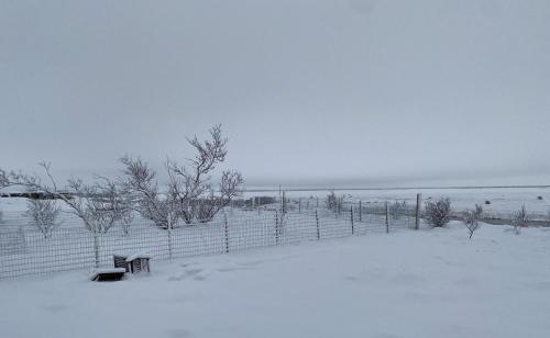 a snow covered field with a bench in front of a fence at Ugla Gistihús (Ugla Guesthouse) in Hella