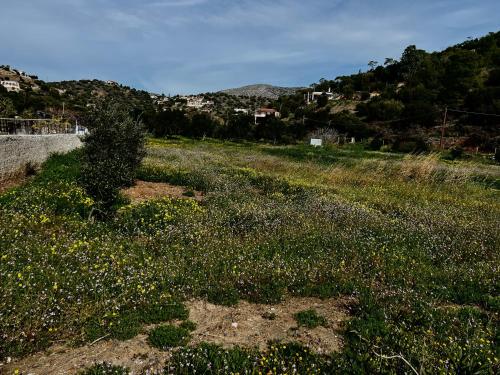 a field full of flowers on a hill at ALTAVILLAS maisonettes in Kakí Vígla
