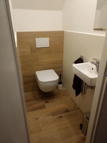 a bathroom with a toilet and a sink at Ubytování U Vojty Pozlovice u Luhačovic in Pozlovice