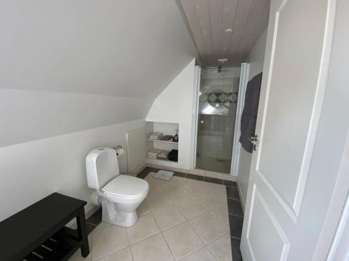 a bathroom with a toilet and a walk in shower at Wonderful house & garden in Tommerup