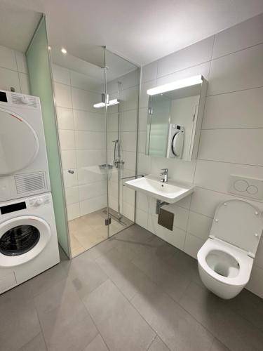 y baño con aseo, lavabo y ducha. en 2.5 Room@MydiHei Apartments en Neuhausen am Rheinfall