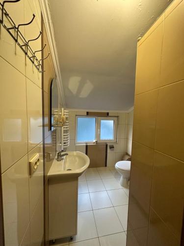 a bathroom with a sink and a toilet at Писанка in Yaremche