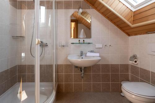 a bathroom with a sink and a toilet and a shower at Villa Hochdörffer Gästehaus in Landau in der Pfalz