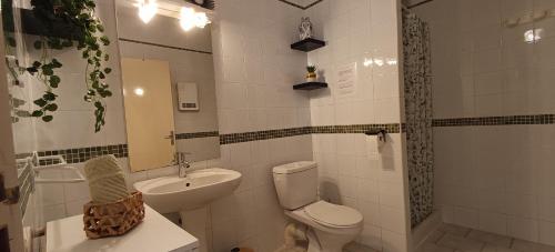 une salle de bain avec toilettes, lavabo et miroir dans l'établissement Gîte la glycine avec piscine au mas de Saint Jean, à Saint-Romain-en-Viennois