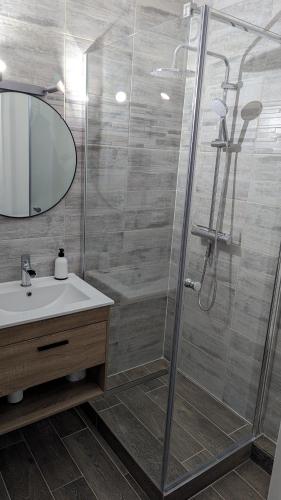 une salle de bain avec une douche avec un lavabo et un miroir dans l'établissement Escapade Mulhousienne, à Mulhouse